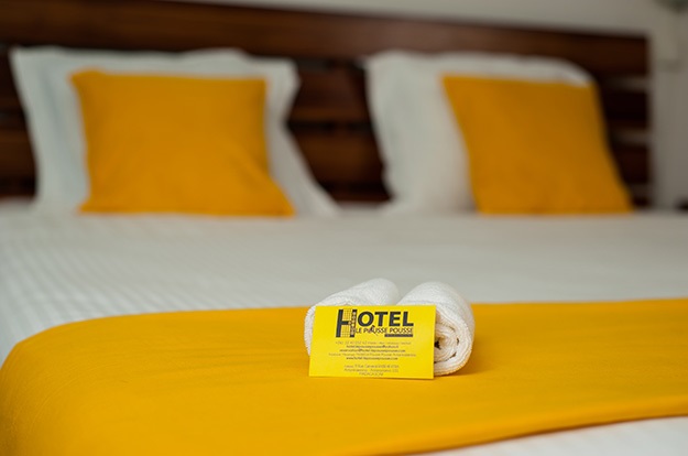 Hotel Le Pousse Pousse Antaninarenina